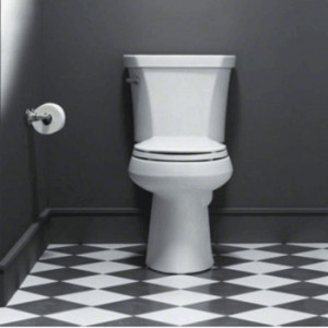 KOHLER Wellworth Toilet Review
