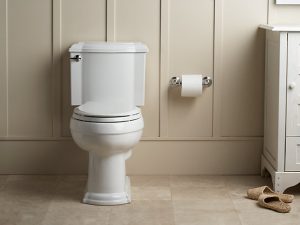 Kohler Devonshire Toilet Review - 2021