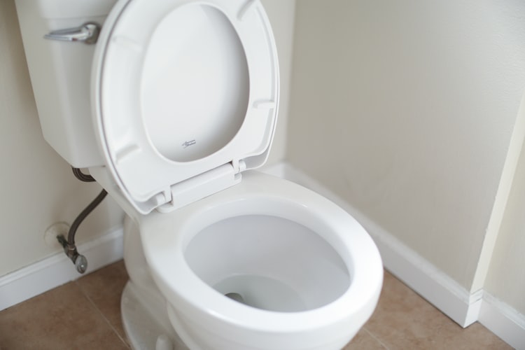 best dual flush toilets