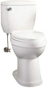 18 inch high toilets