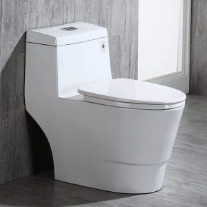 Woodbridge T-0001 Dual Flush Elongated One Piece Toilet