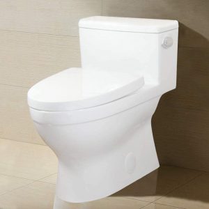 winzo low-profile toilet