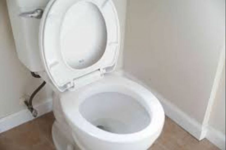 the battle of one-piece vs two-piece toilet