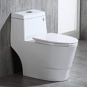 best woodbridge toilets