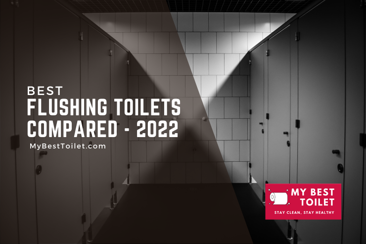 The Best Flushing Toilets - Review and Buyer's Guide Comparison 2022