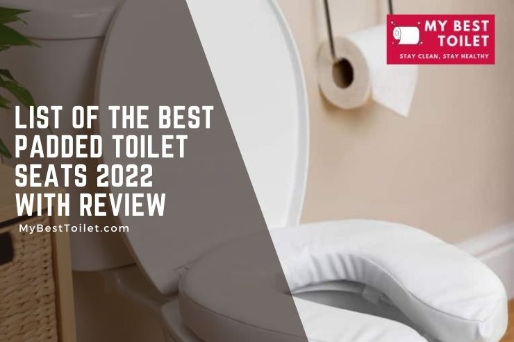 List with reviews of the best padded toilet seats